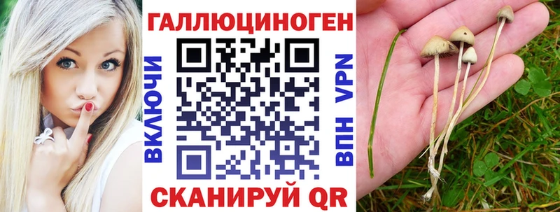 купить  сайты  omg рабочий сайт  Галлюциногенные грибы ЛСД  Зуевка 